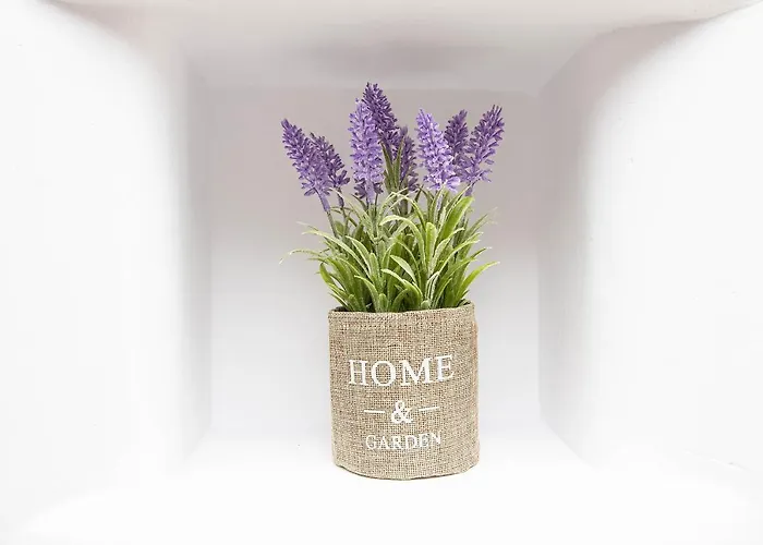 Anius Hotel apartamentowy Plintri