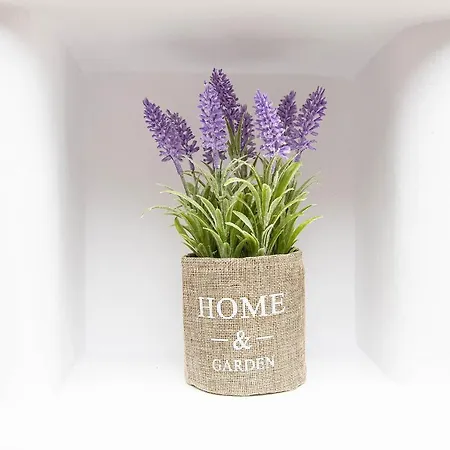 Anius Apart-hotel Plintri